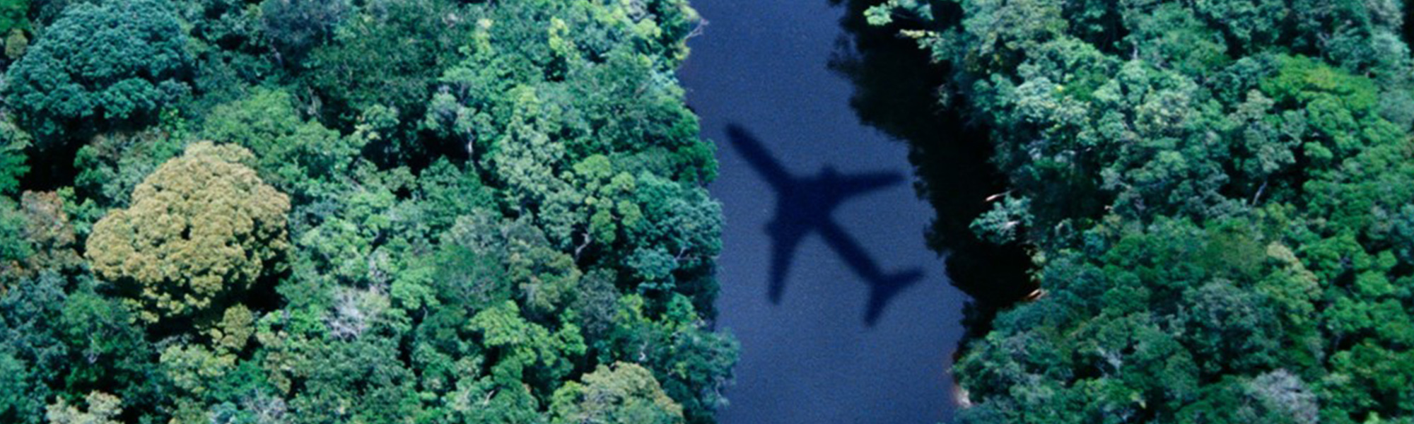 "sustainable aviation fuel", "saf fuel", "how is sustainable aviation fuel made"